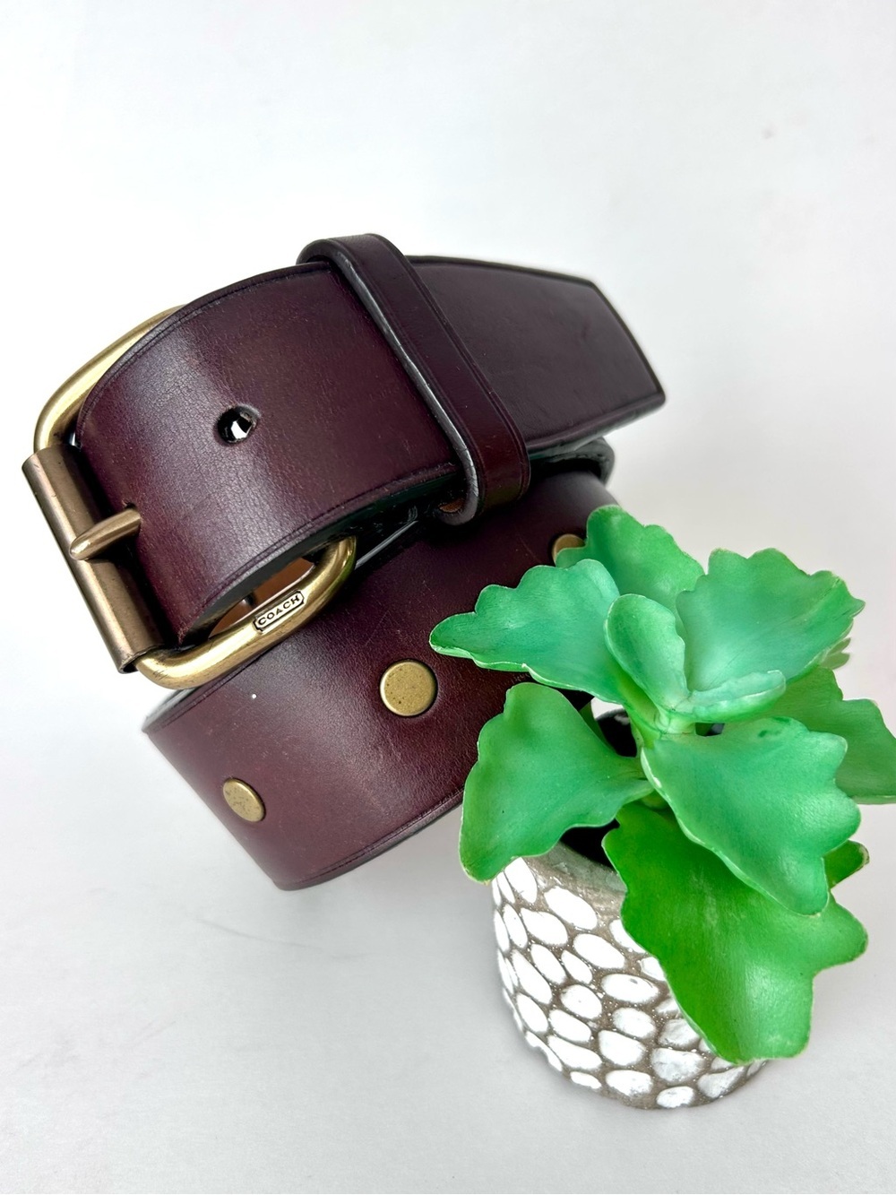 Coach Brown Leather Studded Belt Size 34”